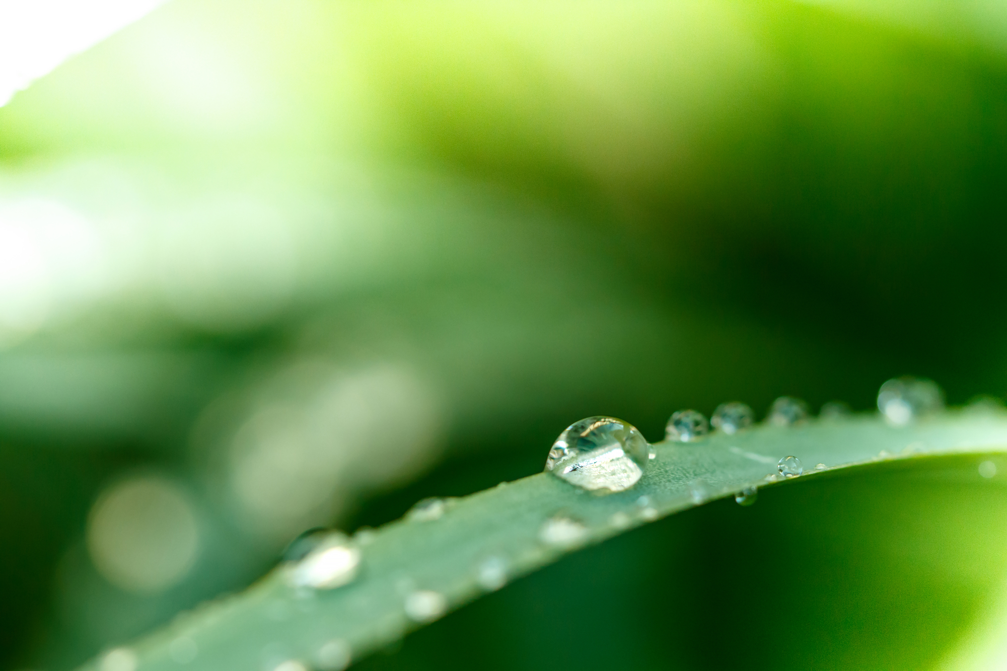 pixta_92014148_M